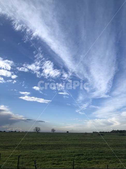 하늘,nature,자연,outdoors,sky,azuresky,푸른하늘,깃털구름,해외,새털구름,구름,cloud,파란색,blue,tree,hill,언덕,풍경,landscape