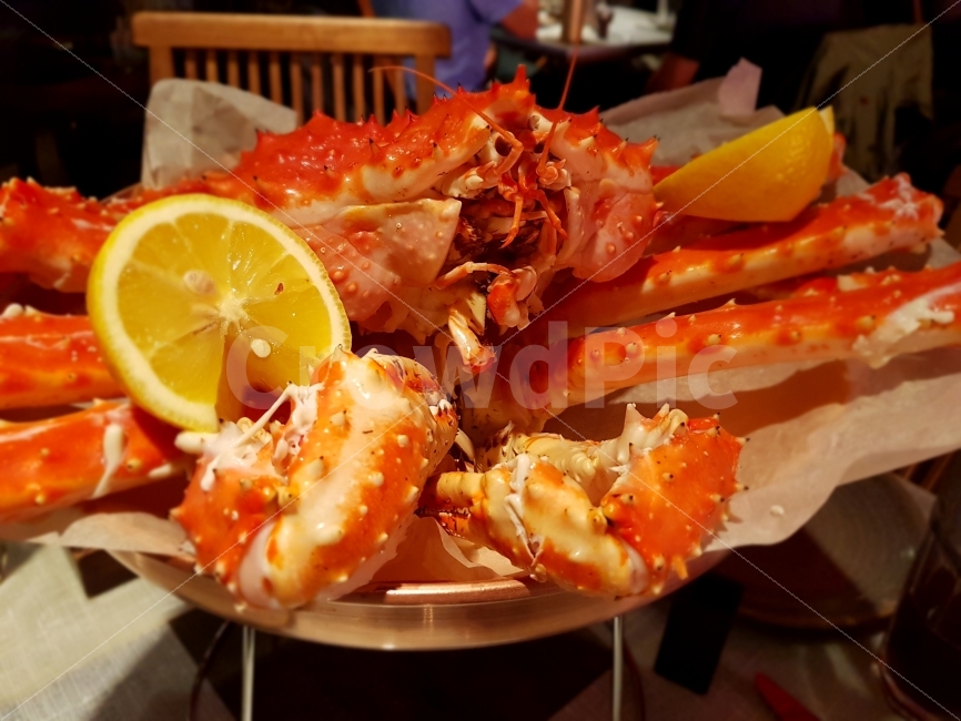 킹크랩,해산물,킹크랩찜,대게,먹음직스러운,음식,식재료,요리,food,cook,meal,dishes,food reserves,수산물,해산물,fishery products,seafood