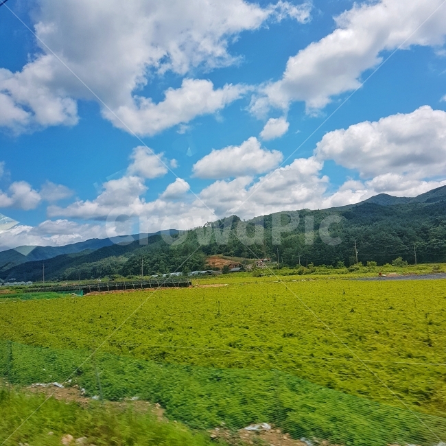 풍경,하늘,논,한국풍경,landscape,nature,대한민국,고속도로,여름하늘,자연,풍경,nature,landscape,시골,마을,country,rural,town,산업,industry,industrial,농업,농사,agriculture,farming,farming industry,outdoors,옥외,field,들,grassland,목초지