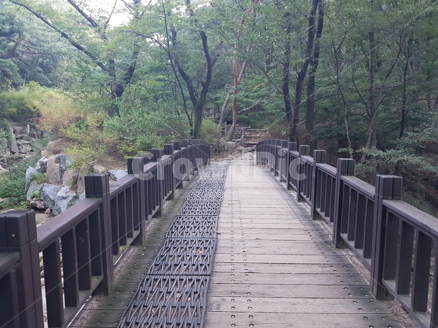 다리,감성,등산,길,풍경