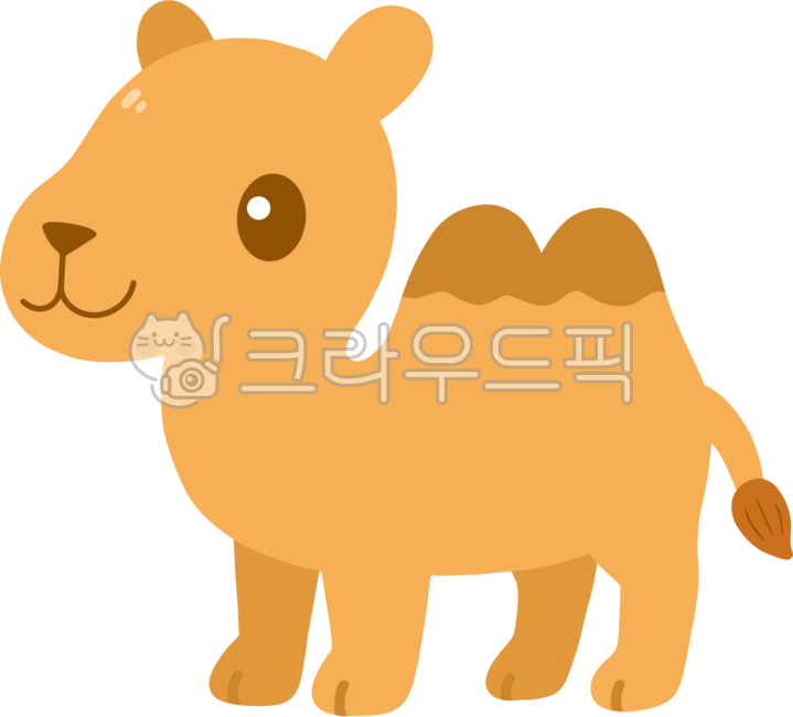 사막,낙타,동물,귀여운,캐릭터,이동수단,카멜,낙타일러스트,사막일러스트,손그림