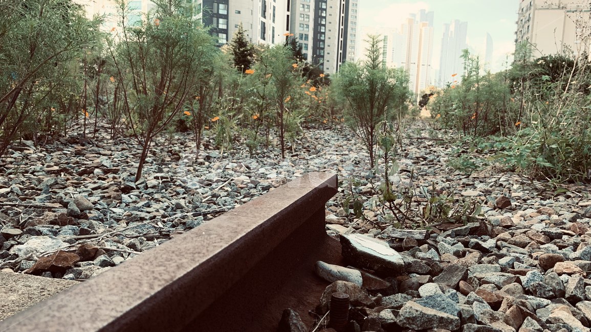 기차길,선로,끊어진길,기차,레일