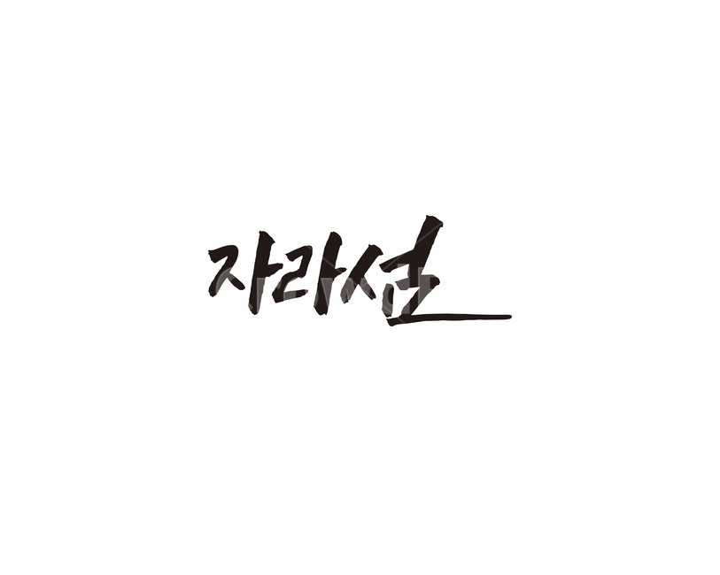 자라섬,관광지,가평,축제,캘리,캘리그라피,경기도,그래픽,일러스트레이션,graphic,illustration,캘리그라피,손글씨,calligraphy