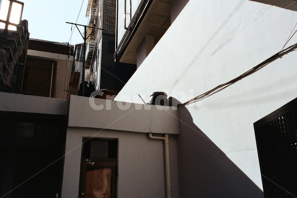 건축,마당,집,햇빛,봄,건축물,건물외관,exterior,building,structure,architecture,construction