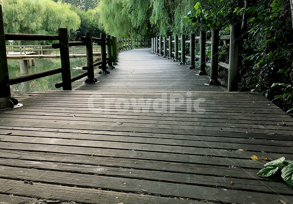 숲속길,나무다리,길,산책로,여유,힐링,자연,숲,산책,걷다,자연,풍경,nature,landscape,boardwalk,bridge,다리,building,건물