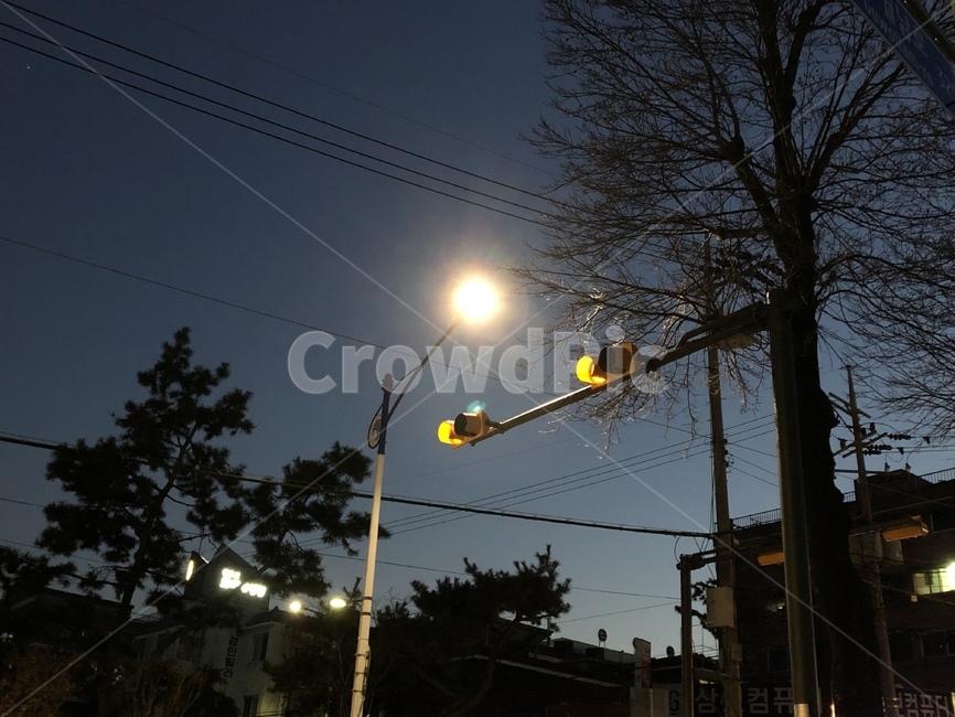 신호등,거리,밤하늘,저녁하늘,가로등,풍경,야경,밤,풍경,nightscape,night,landscape,lamp post,램프 포스트