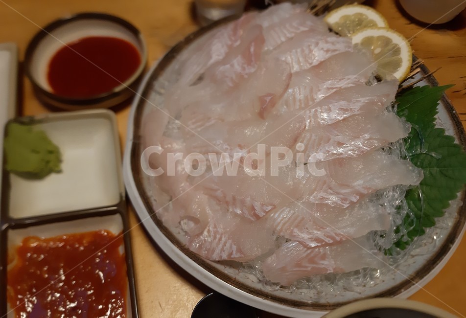 광어,회,안주,술자리,횟집,해산물,확대,음식