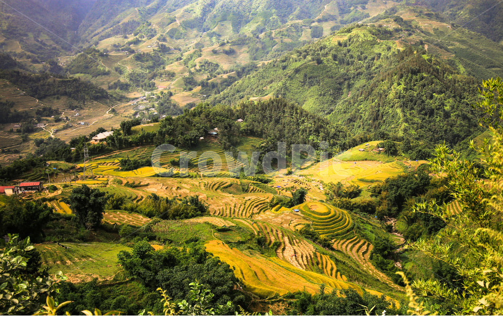 베트남,사파,풍경,vienam,sapa,자연,풍경,nature,landscape,시골,마을,country,rural,town,해외,외국,세계,foreign,oversea,world,세계자연풍경,해외자연풍경,외국자연풍경,world nature landscape,outdoors,옥외,field,들,grassland,목초지