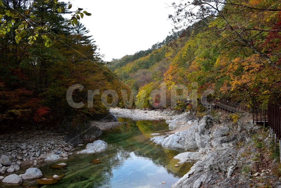 설악산,가을,풍경,단풍,탐방,국립공원,파란하늘,가을색,오색,울긋불긋,알록달록,그림같은,칼라풀,뷰티플,아름다운,힐링,감성,자연,정취,산세,명산,100대명산,nature,산,등산,트레킹,비경,경치,사진,색채,가을의정취,자연,풍경,nature,landscape,가을,계절,fall,autumn,season,water,물,stream,흐름,creek,작은 만,outdoors,옥외