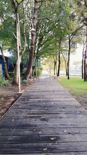 path,통로,길,공원,나무,자연,풍경,nature,landscape