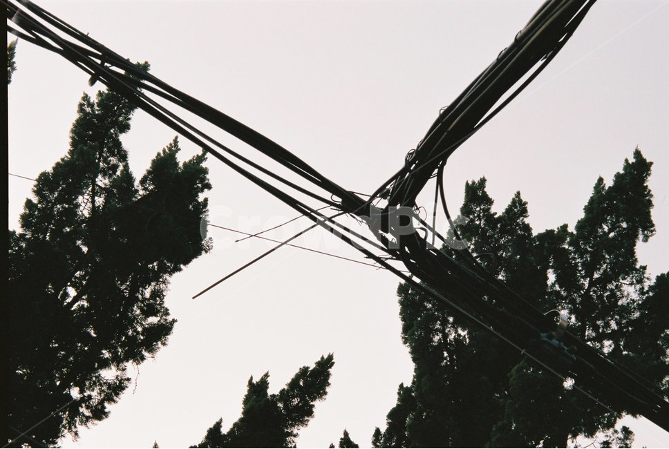 흐린하늘,전깃줄,실루엣,필름사진,쓸쓸함,전봇대,전신주,전기줄,전선,동네,골목,외로움,감성,감성사진,mood,필름,dark,lonely,sad,village,street,cloudy,gray,silhouette