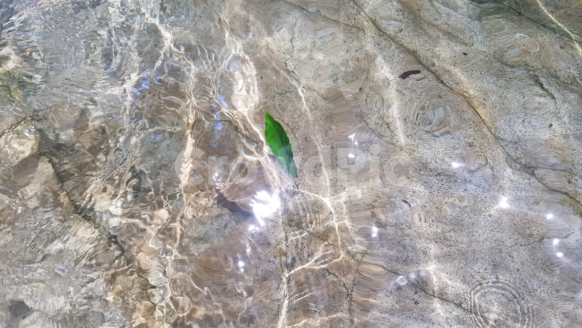 물,water,계곡,valley,나뭇잎,leaf,청초,pure,햇빛,깨끗한,맑은,초록색,투명,바위,반사