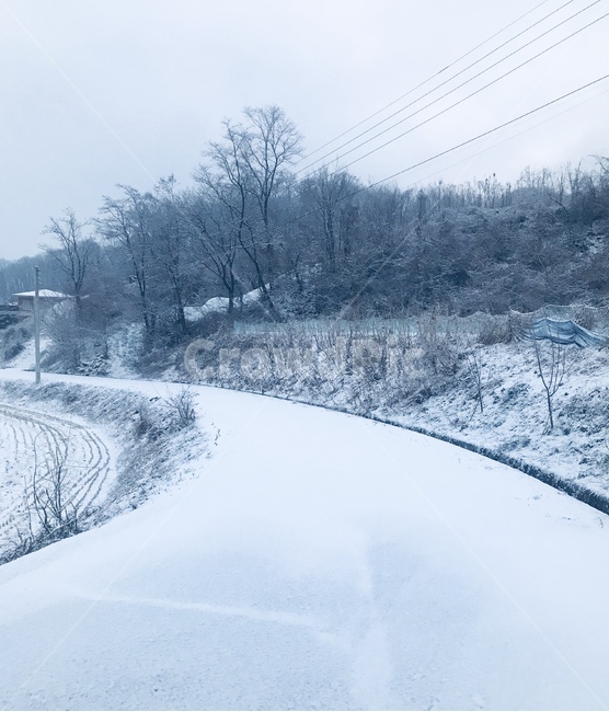 눈길,산눈길,논밭눈,나무,시골눈,겨울,계절,winter,season,자연,풍경,nature,landscape,outdoors,옥외
