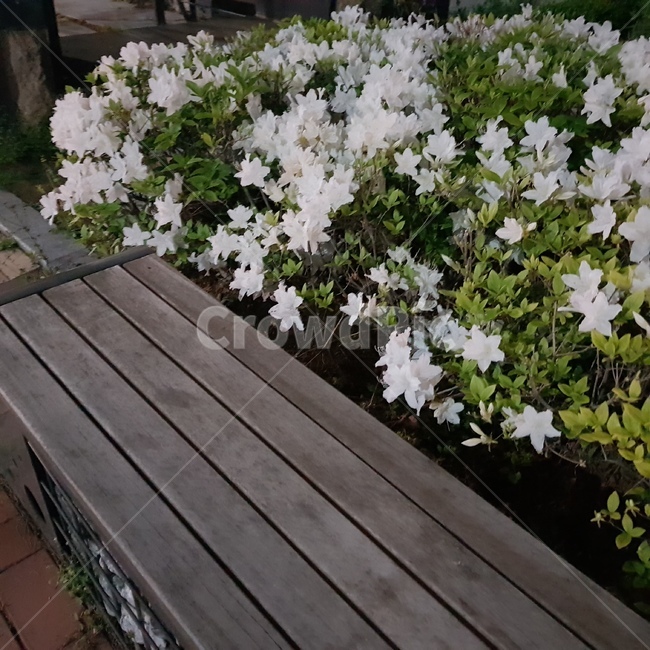 의자,꽃,배경,감성,휴식