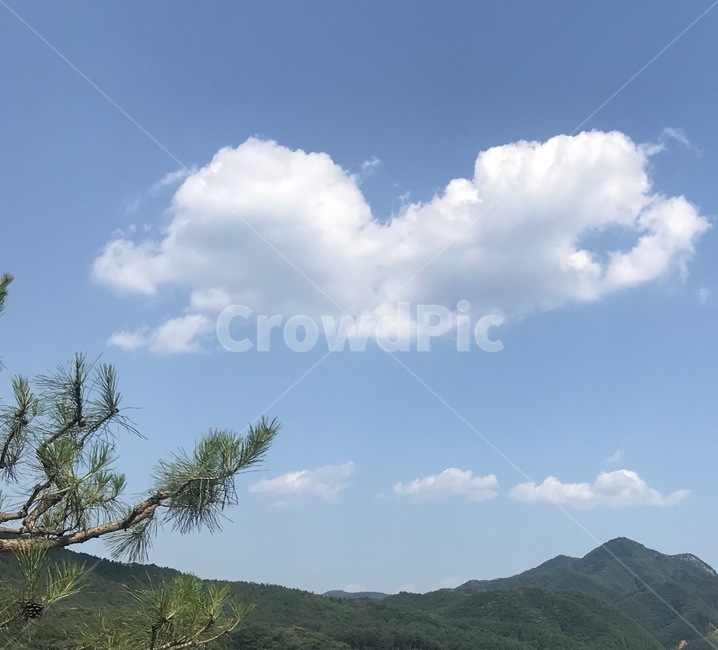 nature,자연,cloud,구름,plant,자연,풍경,nature,landscape