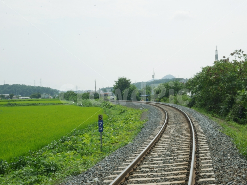 전철,선로,철길,시골길,시골,커브길,커브,기차,자연,풍경,nature,landscape,교통,교통수단,traffic,transportation,시골,마을,country,rural,town,rail,레일,railway,철도,train track,기찻길