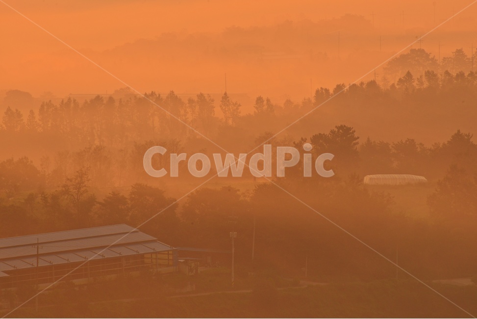 전남,함평,밀재,밀재일출,여명,아침,해돋이,sky,하늘,dawn,새벽,redsky,붉은하늘,fog,안개,plant,식물,nature,자연,outdoors,옥외,scenery,풍경,landscape,경치,mountain,산,빛내림