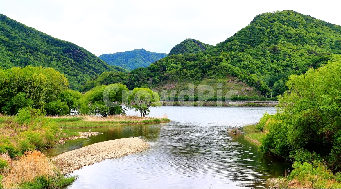 산,양평,물의정원,북한강,나무,자연,풍경,nature,landscape,한국자연풍경,한국자연경관,korea nature landscape,outdoors,옥외,water,물