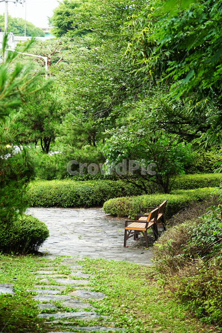 백운호수,벤치,밴치,의자,좌석,휴식,자연,앉다,앉기,chair,bench