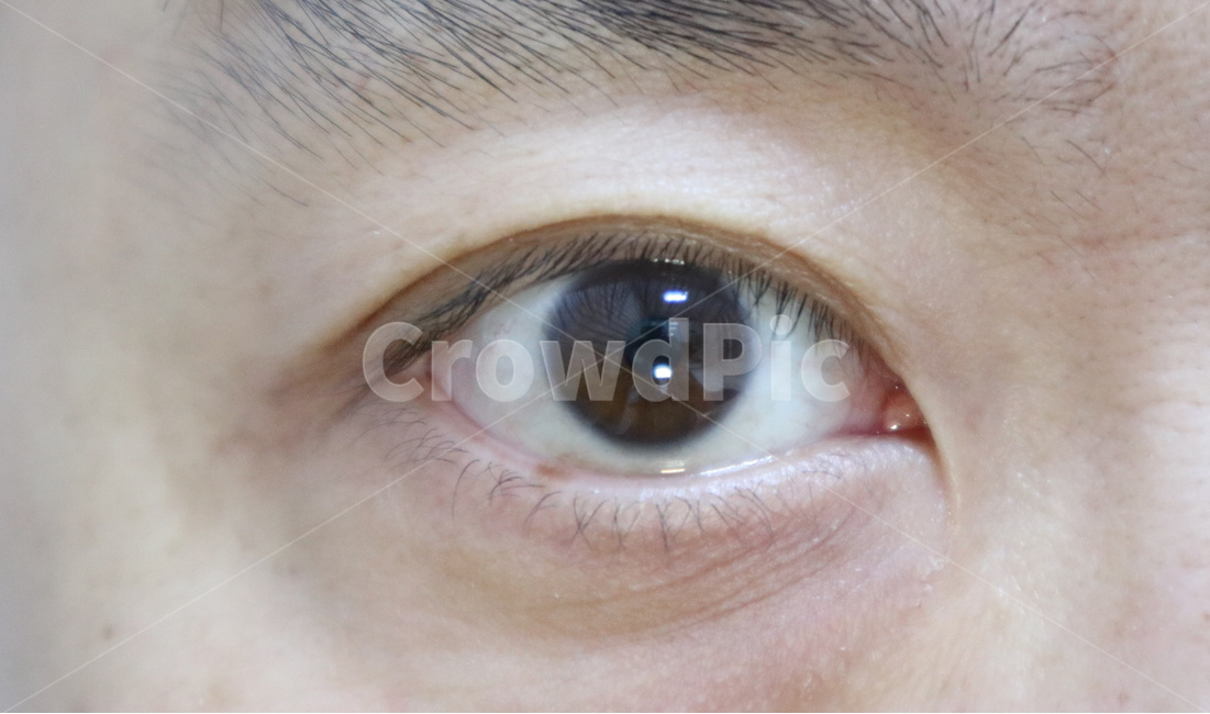 눈,눈동자,눈주변,기미,피부,피부과,쌍거풀,쌍꺼풀,eye,노화,주름,신체,안과,동공,사람눈,속눈썹,사람,인물,인간,human,person,신체일부,몸,body