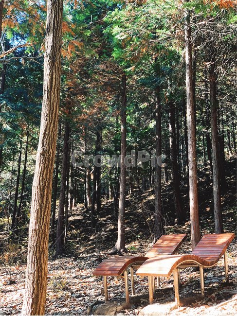 가을,등산,여유,벤치,낙엽,나무,자연,풍경,nature,landscape