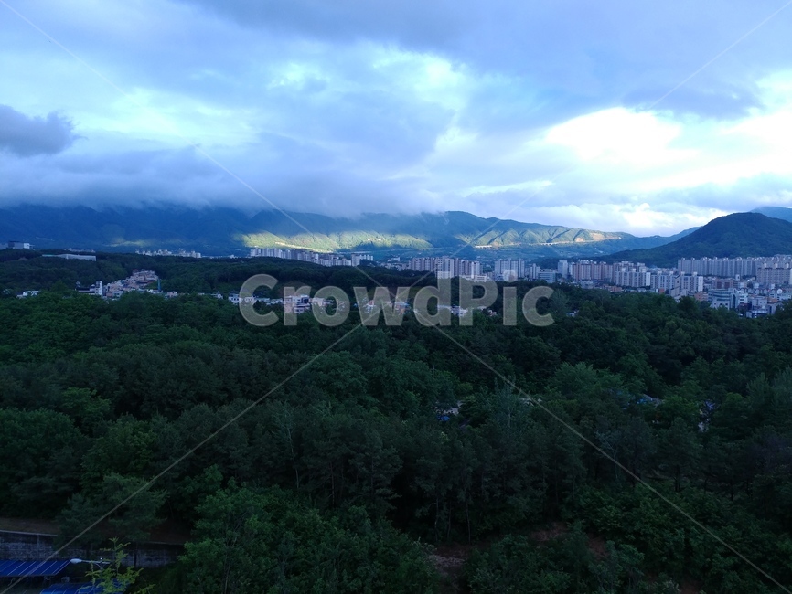 아침하늘,숲,건물,산,맑음,도시,풍경,city,landscape,nature,자연,outdoors,옥외