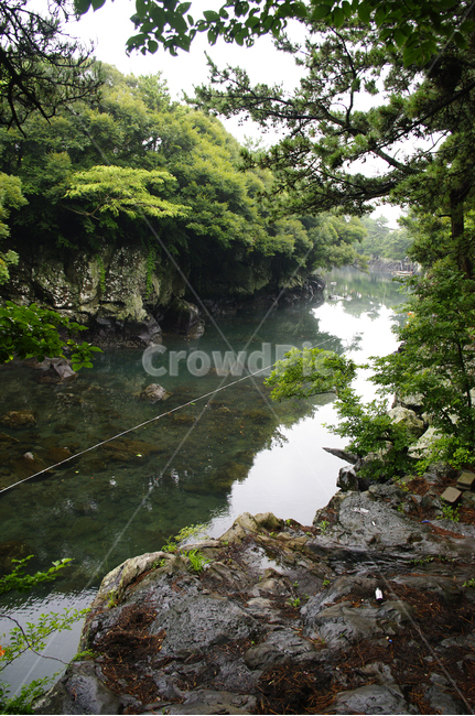 제주,쇠소깍,풍경,하천,나무,식물,자연,풍경,nature,landscape,한국자연풍경,한국자연경관,korea nature landscape,제주도,jeju,jeju island,water,물,outdoors,옥외,vegetation,초목,plant,land,땅