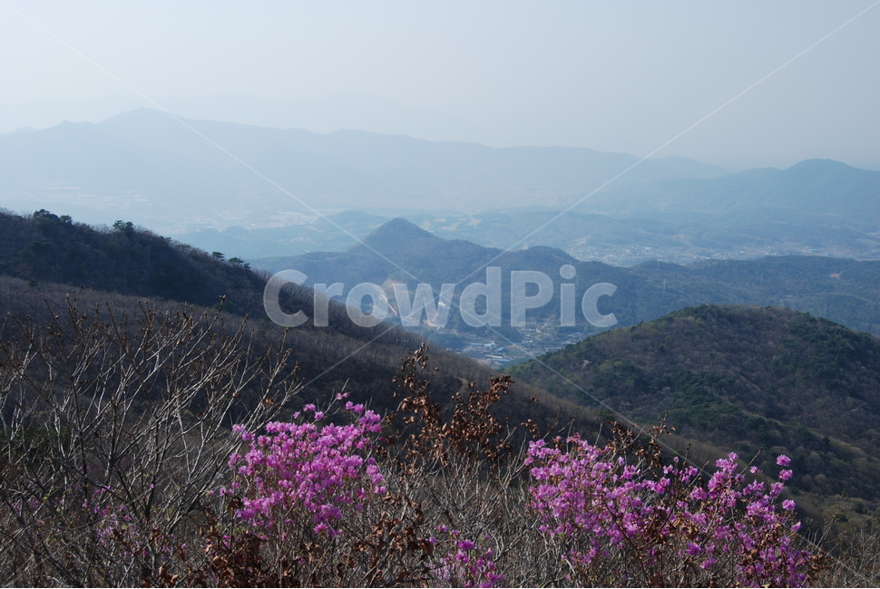 대운산,봄,자연휴양림,탐방로,공원,봄,계절,spring,season,자연,풍경,nature,landscape,한국자연풍경,한국자연경관,korea nature landscape,slope,경사,outdoors,옥외