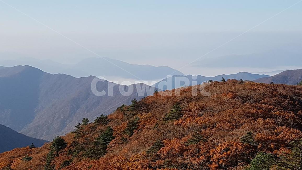 지리산,가을,단풍,능선,운해,가을,계절,fall,autumn,season,자연,풍경,nature,landscape,한국자연풍경,한국자연경관,korea nature landscape,outdoors,옥외,hill,언덕