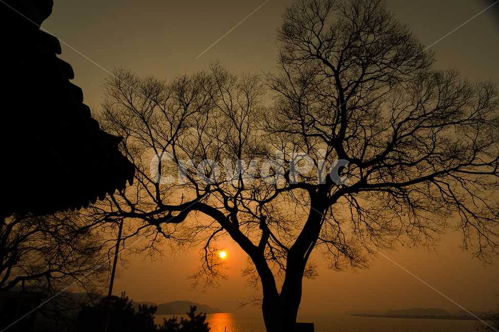 자연,일몰,붉은하늘,실루엣,비행기,하늘,정자,한국자연풍경,한국자연경관,korea nature landscape