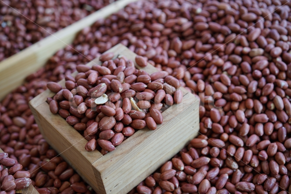 nuts,snack,healthy food,peanut,Plenty of food,mukbang,nut