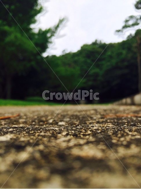 숲속,산책,길가,언덕,길,산,forest,mountain,load,green,힐링,healing,walk,자연,풍경,nature,landscape,asphalt,아스팔트