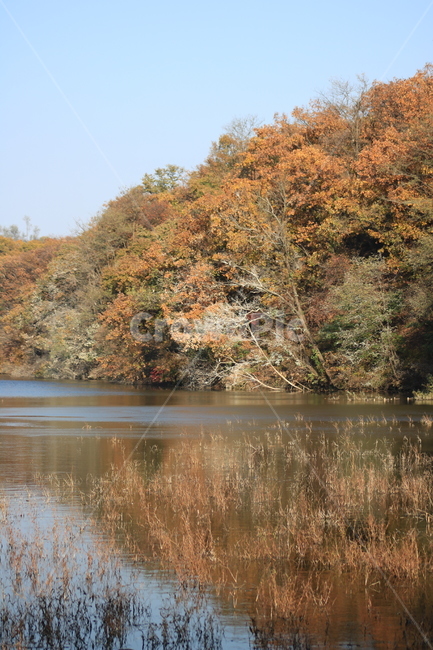 풍경,가을,water,물,nature,자연,outdoors,옥외,반영,계절,가을,계절,fall,autumn,season,자연,풍경,nature,landscape
