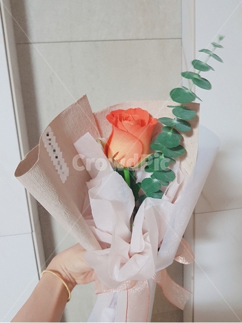 꽃,꽃다발,장미,한송이,선물,꽃,flower,기념일,축하,anniversary,congratulation,celebrate,celebration