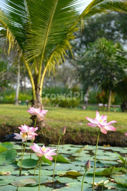 자연,풍경,자연풍경,감성사진,꽃,식물,자연,plants,nature,꽃,flower