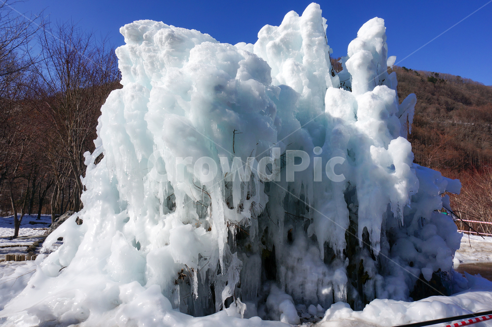 outdoors,옥외,nature,자연,ice,빙,얼음,나무,겨울,겨울,계절,winter,season