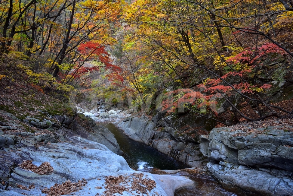 설악산,가을,풍경,단풍,탐방,국립공원,파란하늘,가을색,오색,울긋불긋,알록달록,그림같은,칼라풀,뷰티플,아름다운,힐링,감성,자연,정취,산세,명산,100대명산,nature,산,등산,트레킹,비경,경치,사진,색채,가을의정취,가을,계절,fall,autumn,season,자연,풍경,nature,landscape,한국자연풍경,한국자연경관,korea nature landscape,water,물,outdoors,옥외,plant,식물,tree,나무