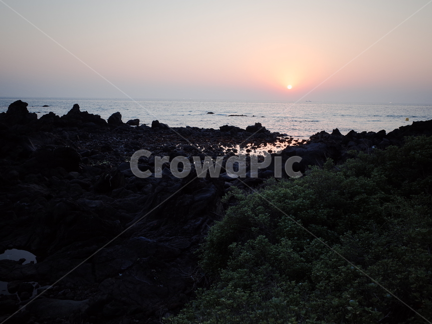 제주도,자연,한국,아웃도어,nature,outdoors,옥외,바닷가,석양,돌,현무암,자연,풍경,nature,landscape