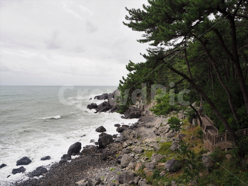 부산,동백섬,바다,절벽,흐린바다,자연,풍경,nature,landscape,해변,바다,beach,sea,promontory,곶