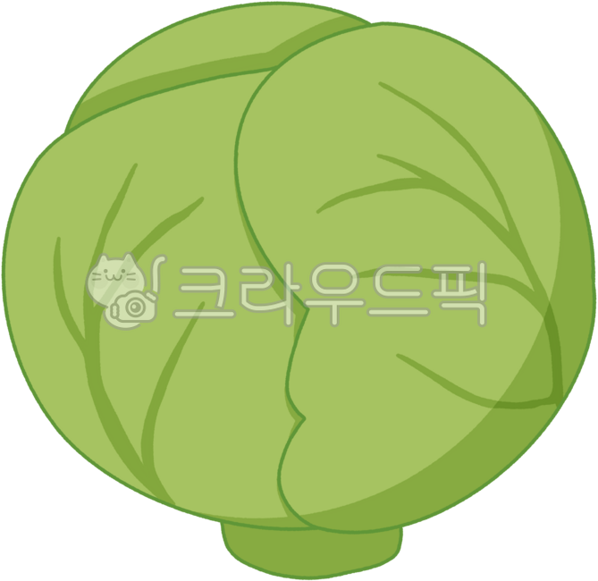 양배추,양배추일러스트,채소,야채,식물,초록채소,텃밭작물,농작물,식재료,일러스트,건강식재료,요리재료,귀여운그림,자연소재,양배추그림,먹거리,채소그림