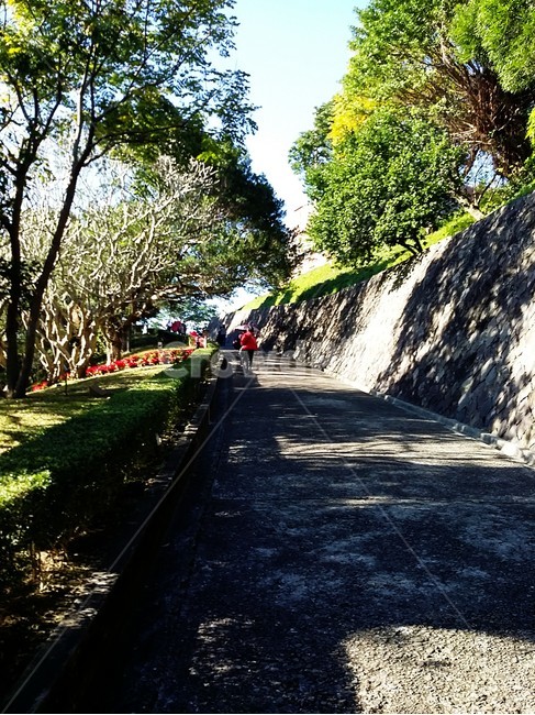 대만,타이페이,산책,오솔길,담벼락,화창한,날씨,자연,풍경,nature,landscape,asphalt,아스팔트