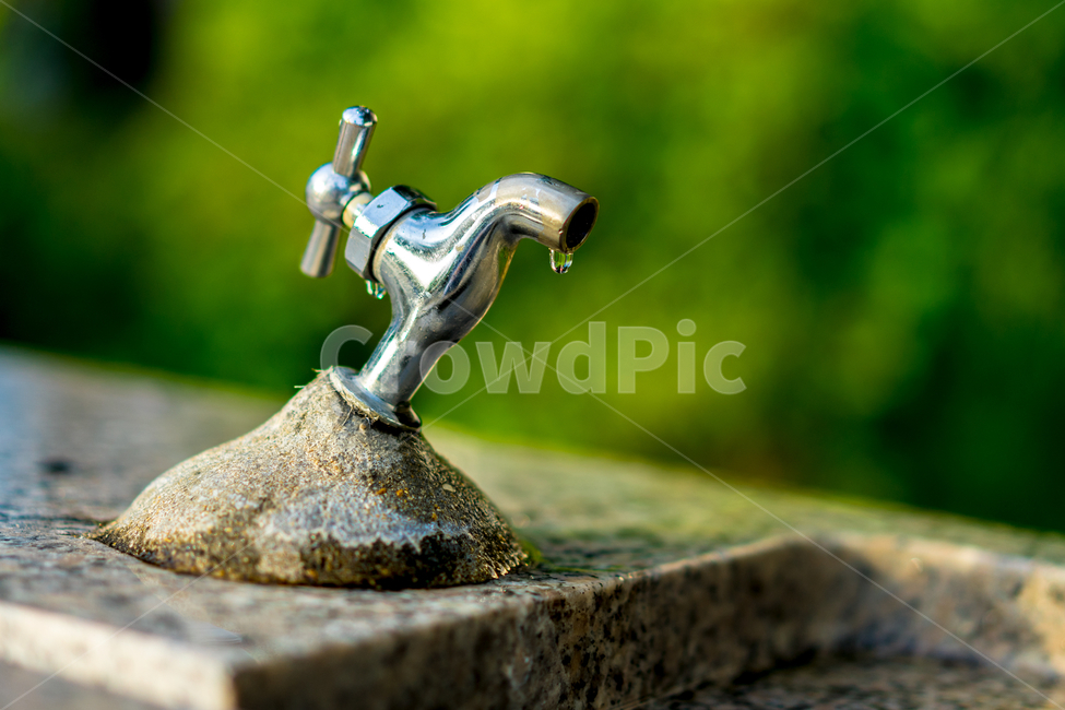water,물,수도꼭지,물방울,여름,초록