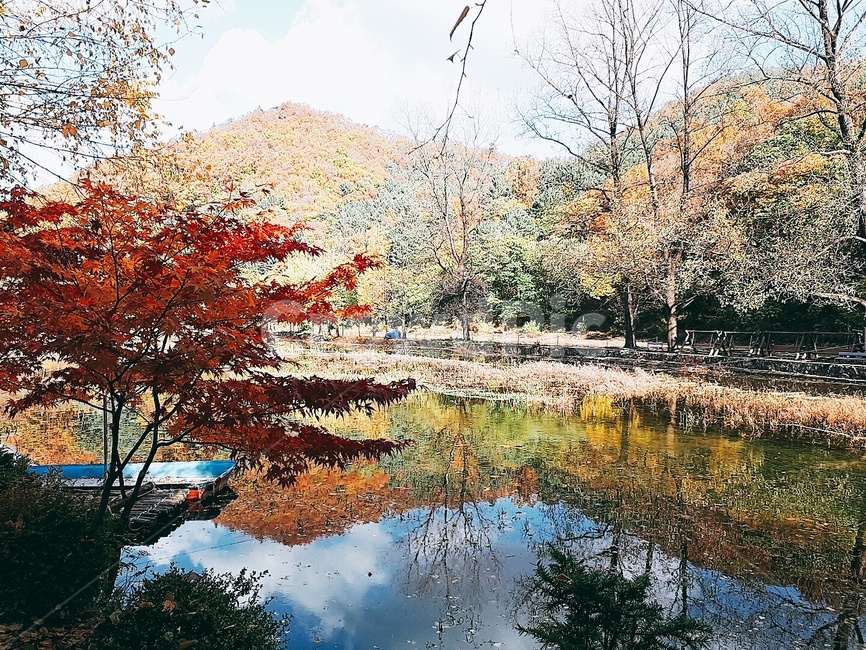 산,가평,구름,하늘,가을,파랑,빨강,노랑,가을,계절,fall,autumn,season,tree,나무,plant,식물,nature,자연