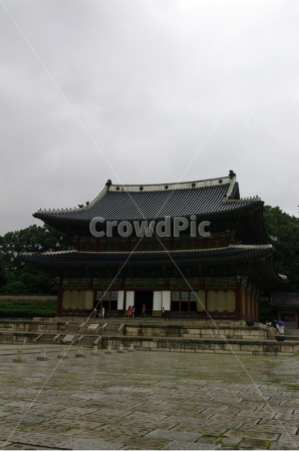 인정전,창덕궁,고궁,한옥,전통가옥,기와지붕,건축,traditional,박석,돌,한국전통,한국문화,korean traditional,korean culture,랜드마크,landmark,tourist attraction,한국랜드마크,한국관광지,한국명소,korea landmark,korea tourist attraction,사람들,대중,군중,other people,crowd,건축물,건물외관,exterior,building,structure,architecture,construction