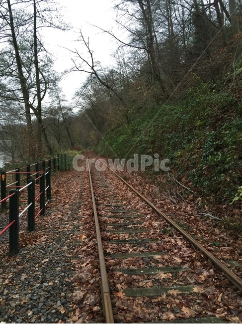 기찻길,낙엽,청도,교통,나무,레일,rail,traintrack,tree