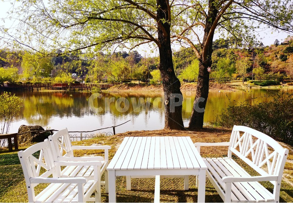 풍경,여행,자연,호수,식물,봄,순천만국가정원,순천,전남,전라남도,landscape,travel,nature,lake,spring,plants,식물,자연,plants,nature,나무,trees,wood,휴식,힐링,rest,relaxation,healing