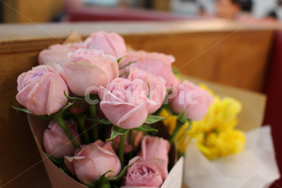 꽃,꽃다발,장미,프리지아,선물,데이트,이벤트,꽃,flower,기념일,축하,anniversary,congratulation,celebrate,celebration