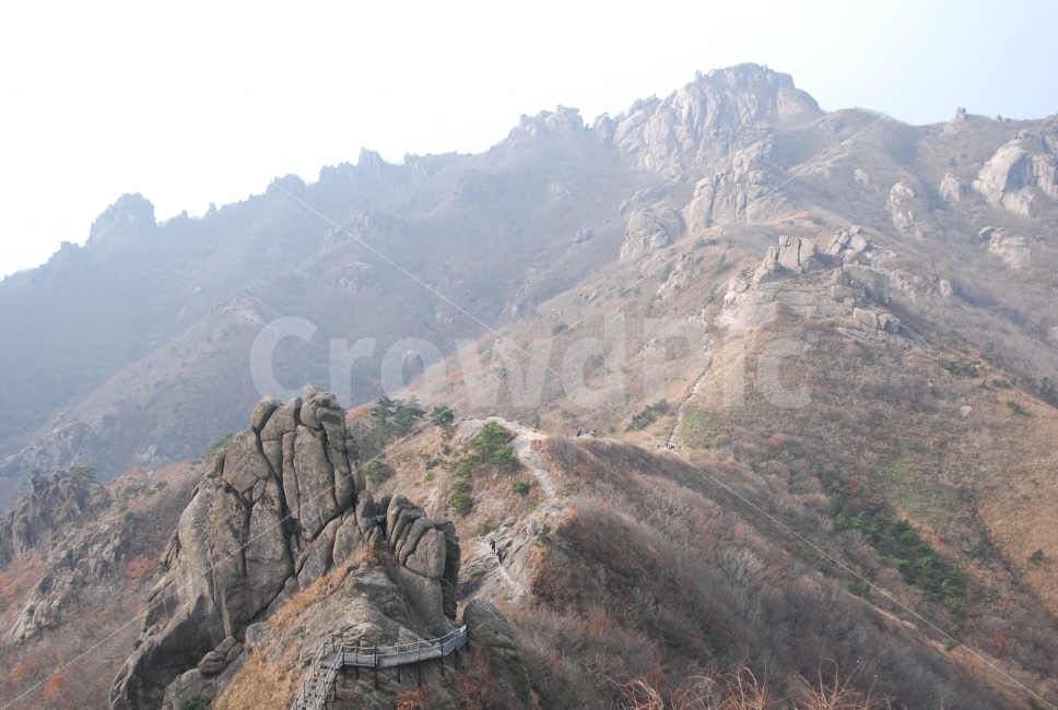 풍경,월출산,월출산길,길,등산로,자연,풍경,nature,landscape,outdoors,옥외