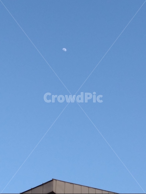 달,하늘,moon,낮에뜨는달,sky