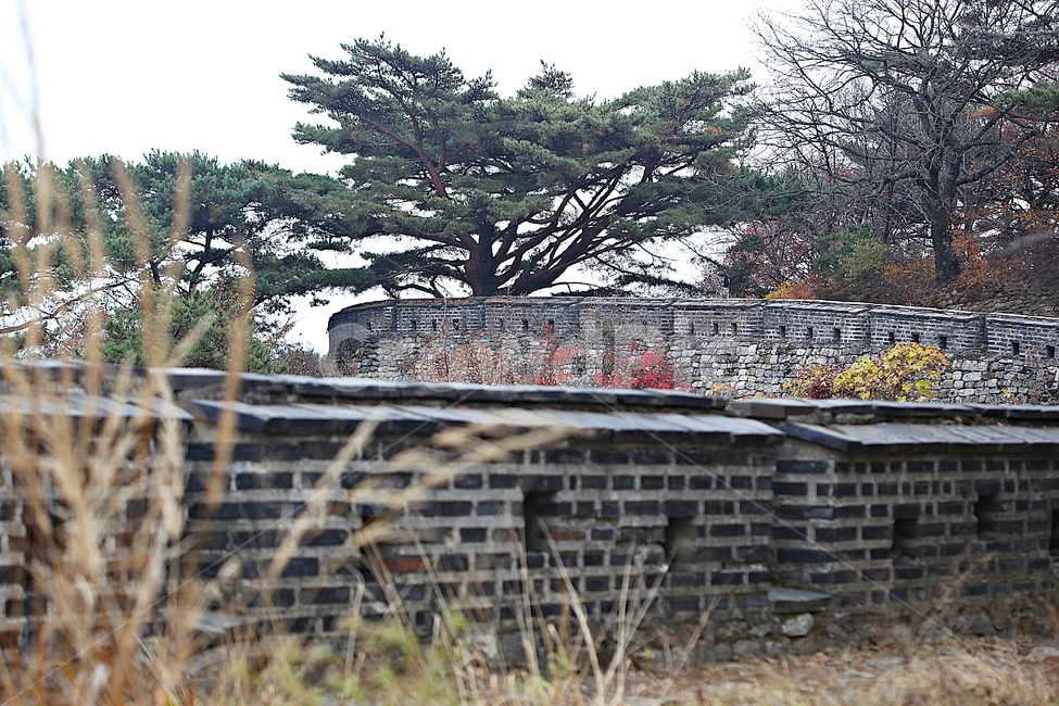 남한산성,성,성곽,단풍,낙엽,길,둘레길,숲,숲길,담,돌담,가을,자연,풍경,벽,울긋불긋,산성,식물,가을,계절,fall,autumn,season